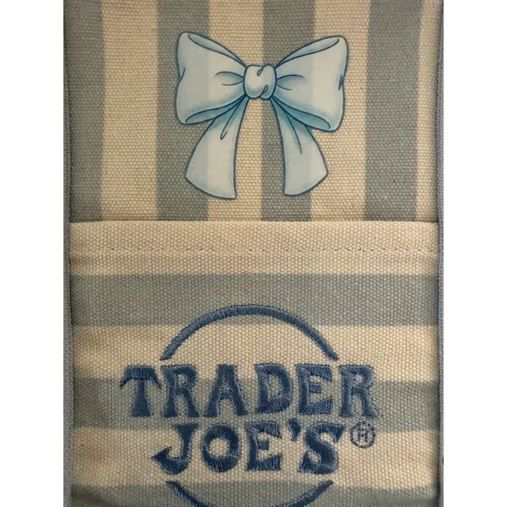 Disney Cinderella Striped Custom Made Trader Joes Mini Tote